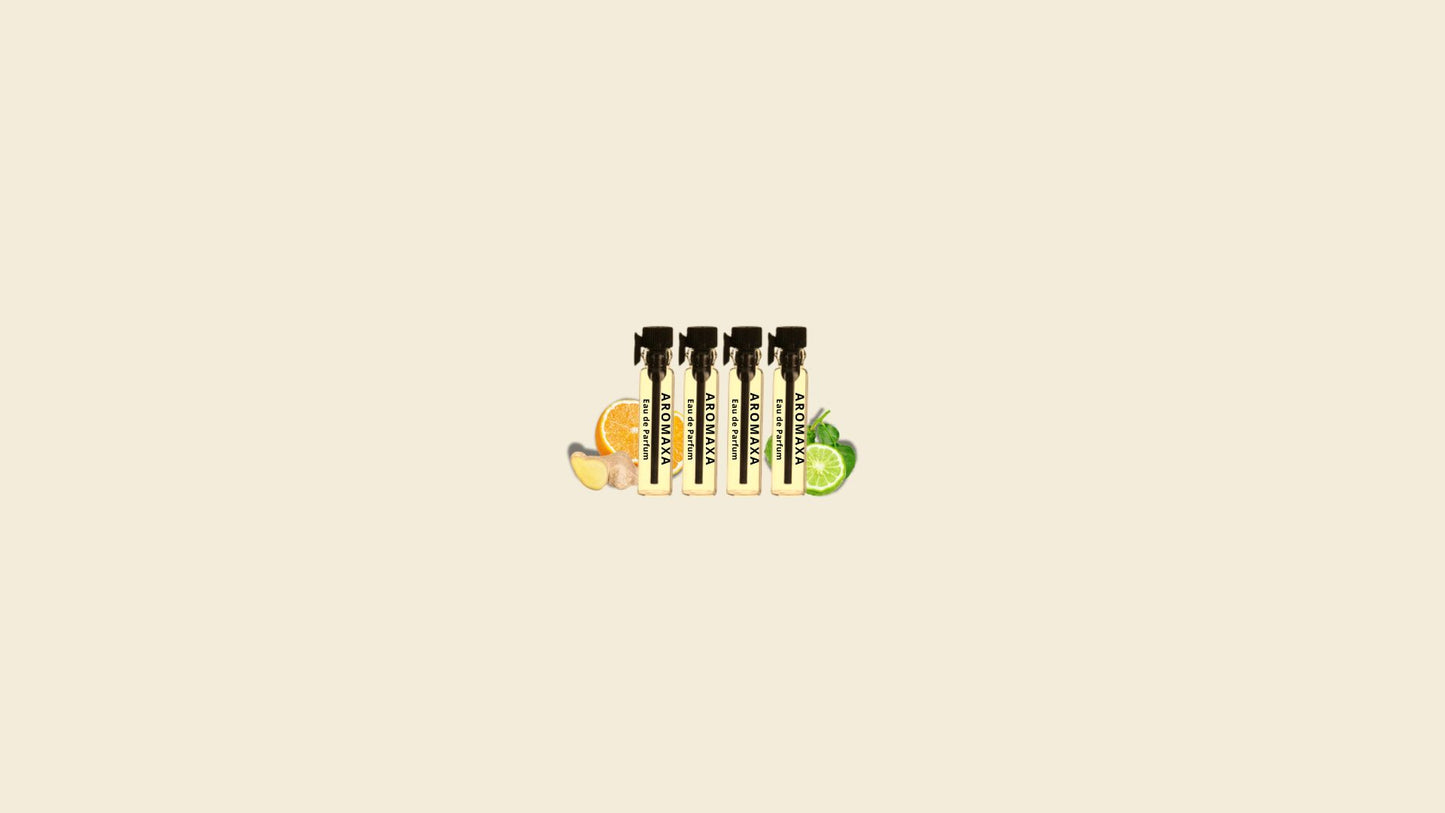 Sydney Tester - Inspired by LV Afternoon Swim