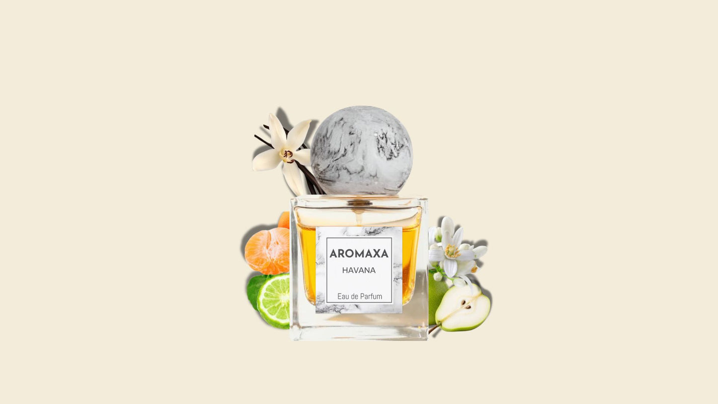 Havana - Paradoxe