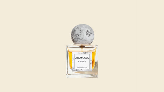 Havana - Paradoxe