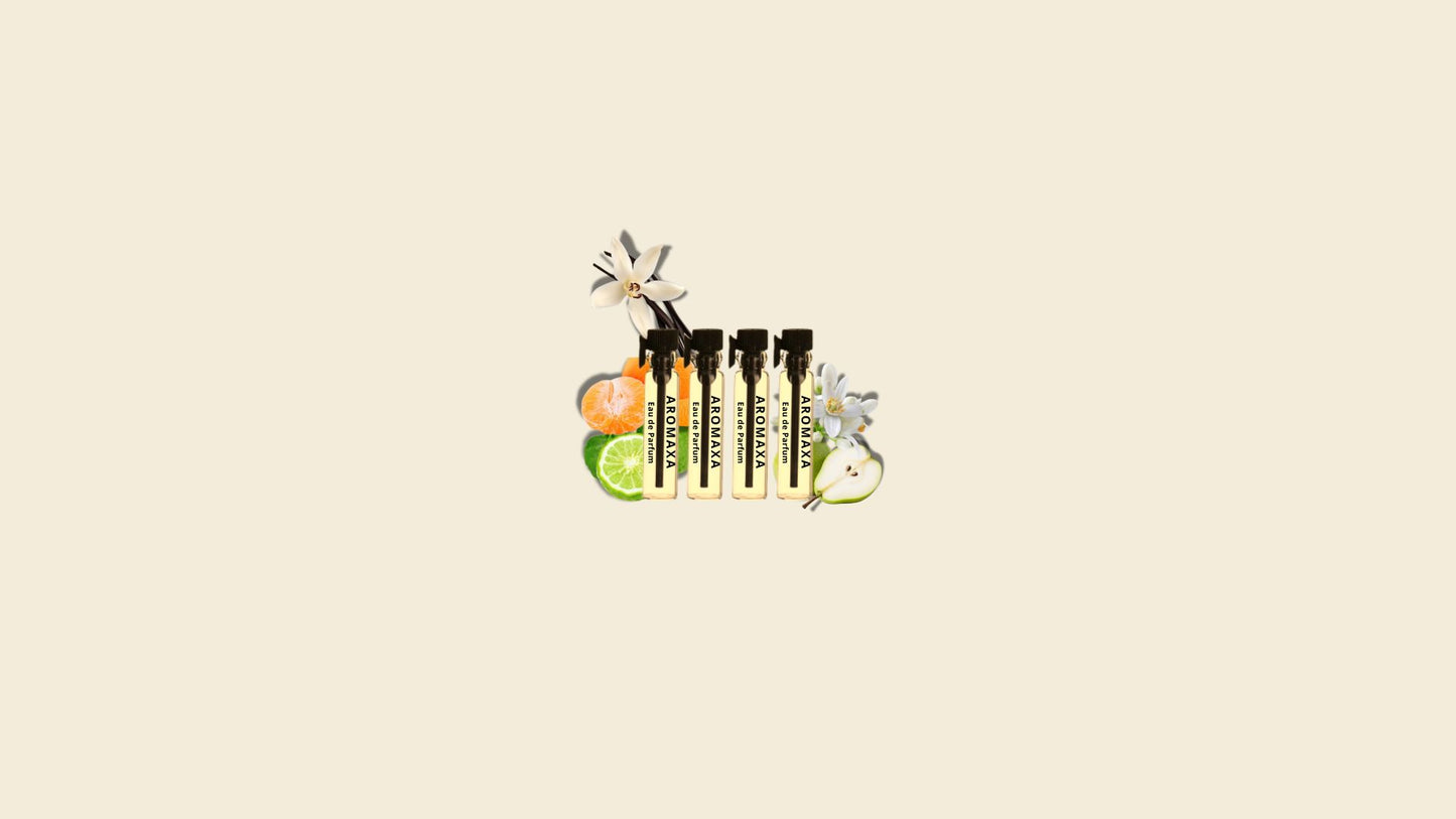 Havana Tester - Paradoxe